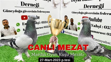 Canlı Oyun Kuşu Güvercin Mezatı Emin Yahşi Canlı Mezat canlı