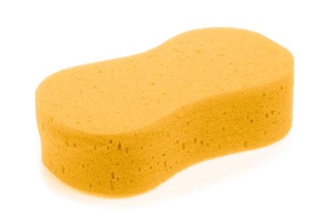 SPONGE definition and meaning | Collins English Dictionary