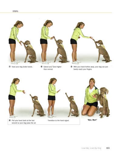 101 Dog Training Tricks Book Review