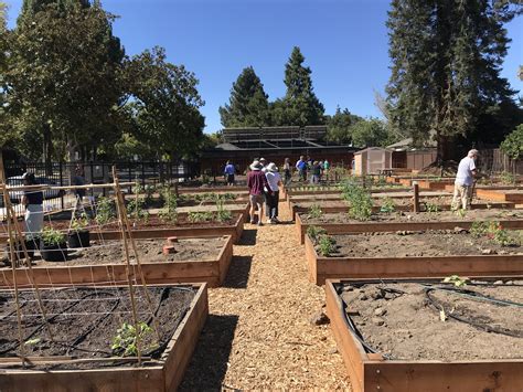 New Community Garden Opens — Mountain View Visitor's Center