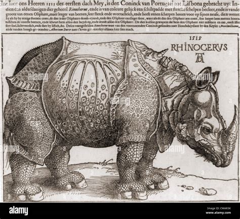 THE RHINOCEROS Woodcut By Albrecht Durer 1471 1528 Drawn From