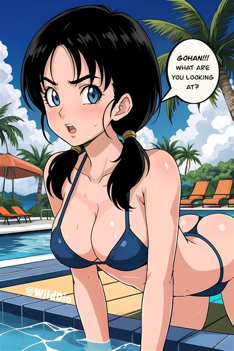 Videl Saw You Wilddio Dragon Ball Cartoon Porn