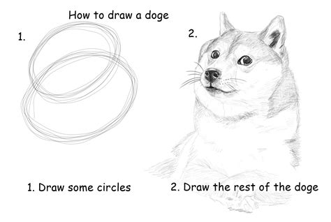 How to draw doge! WOW : doge