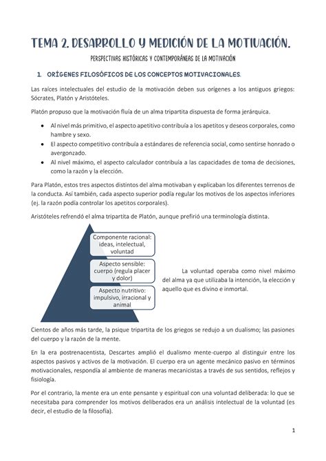 TEMA 2 Desarrollo Y Medición DE LA Motivación TEMA 2 DESARROLLO Y