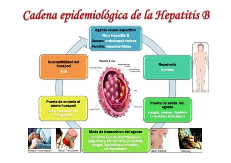 Ejemplos De Cadena Epidemiologica Del Dengue Ejemplo Sencillo