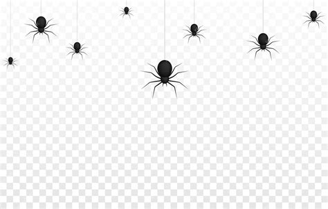 Premium Vector Vector Spiders On An Isolated Transparent Background