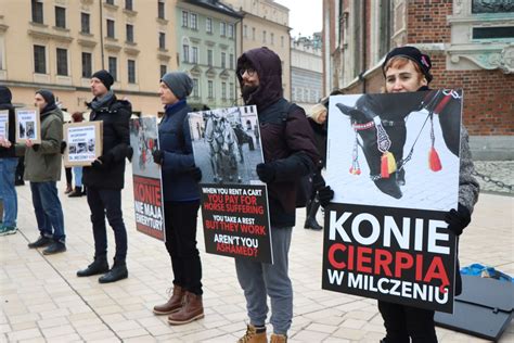 Na Rynku Głównym protestowali w obronie koni ZDJĘCIA Wiadomości z