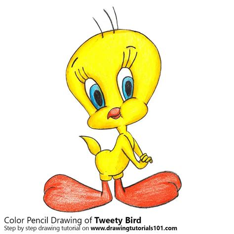 How To Draw Tweety Bird Tweety Step By Step