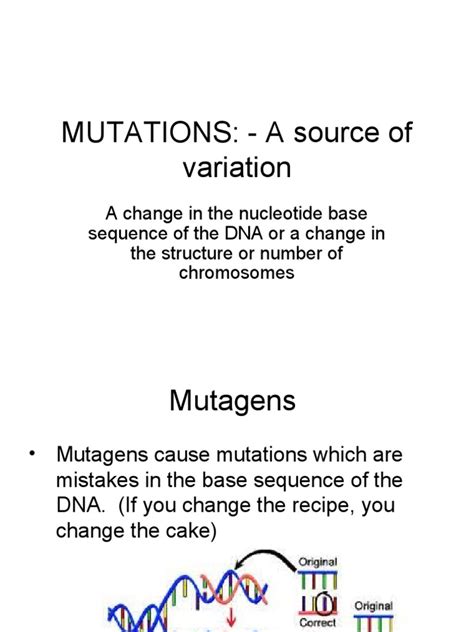 Types of Mutations | PDF