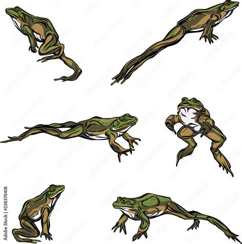 Frog, jump, options, illustration, black, color, vector Stock Vector ...