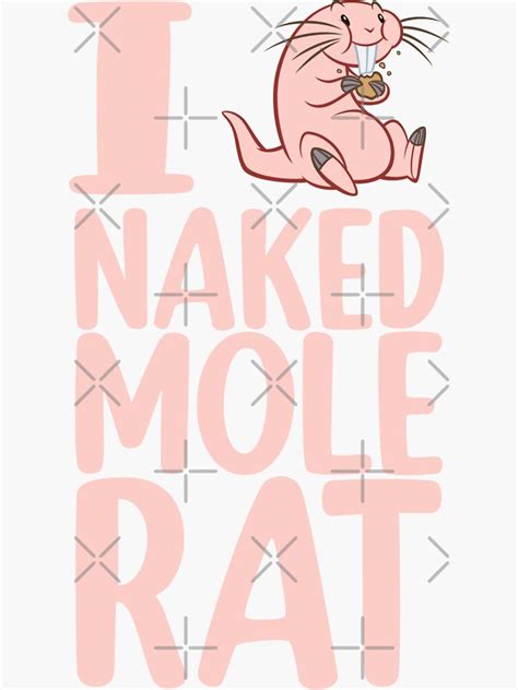 Naked Mole Rat Sticker By Mr Designer Redbubble