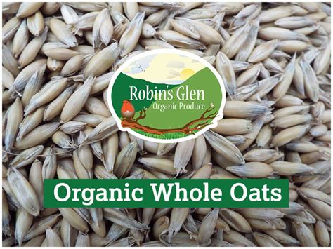 Organic Whole Oats | Robins Glen