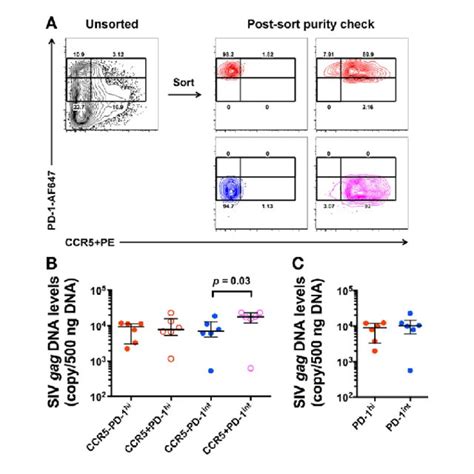 Siv Gag Dna Levels In Ex Vivo Ccr And Ccr Cd Ra Memory Cd