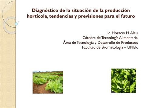 PPT Diagnóstico de la situación de la producción hortícola