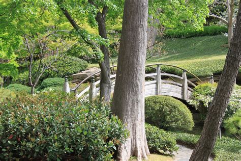 Sarah's Photography: Bridge @ Japanese Garden