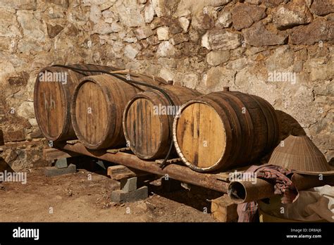 Wine Barrels In Cellar Of Typical Historical German Building In Bolnisi