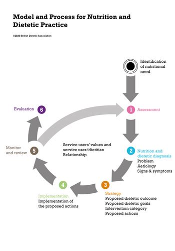 The Model And Process British Dietetic Association Bda