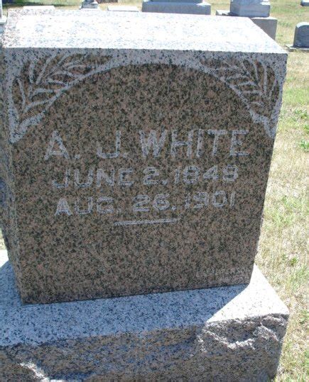 Andrew Jackson White M Morial Find A Grave