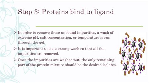 Affinity chromatography | PPT