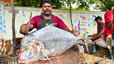 KASIMEDU SPEED SELVAM BIG DIAMOND TREVALLY FISH CUTTING IN