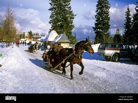 Zakopane Gubalowka sledging cavalcade and 4x4 mountainous Stock Photo ...