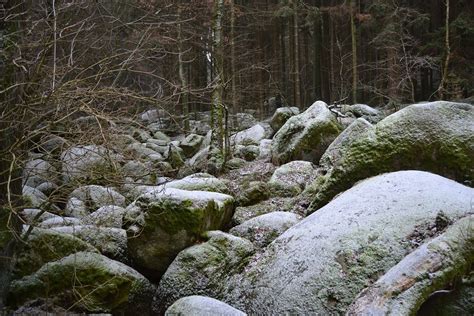 Natur Wald Felsen Kostenloses Foto Auf Pixabay