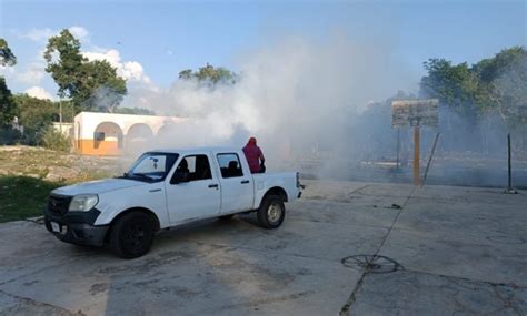 Este lunes inicia intensa jornada de fumigación