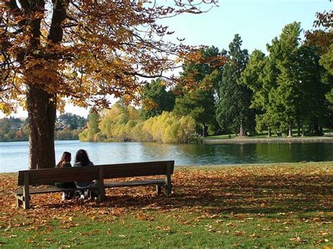 Green Lake Park Seattle Aggiornato 2020 Tutto Quello Che Cè Da