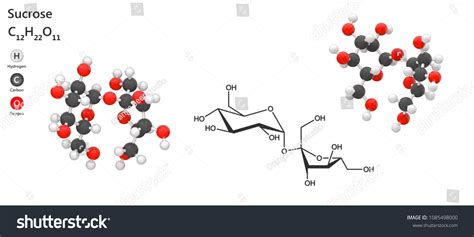 Sucrose Molecular Formula C12h22o11 Common Table Stock Illustration ...