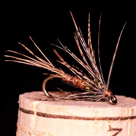 Soft Hackle Pheasant Tail 3 Pack Dressed Irons
