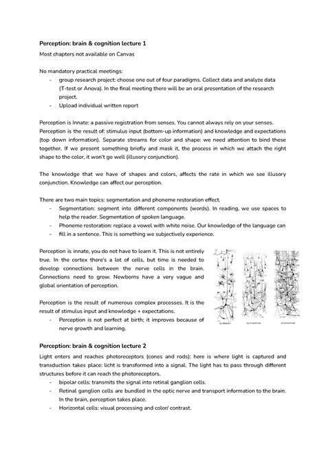 Lectures Perception Brain Cognition Perception Brain Cognition