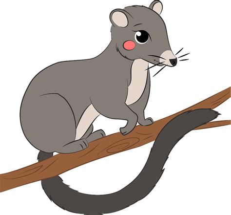 Possum Clip Art Library