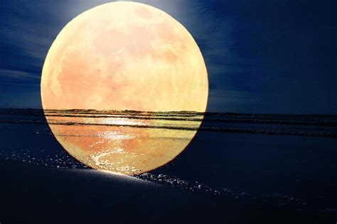 Landscape moon over the horizon on sea and moonlight. Panorama with the
