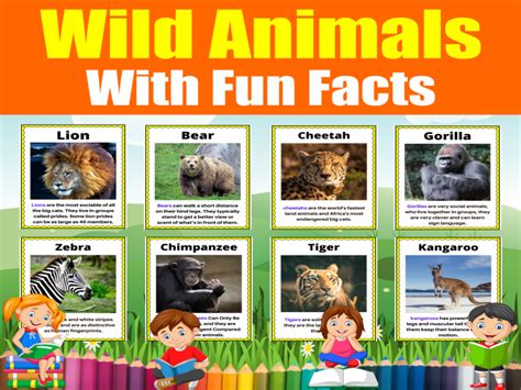 Let's learn about Wild Animals . 16 Flash cards with fun Facts for KS1 ...