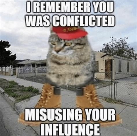 Timbs Cat | I Remember You Was Conflicted | Know Your Meme