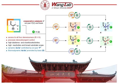 The Wang Group Sichuan University 王天利课题组四川大学化学学院