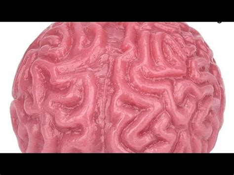 Asmr Fr Cerveau Rose Anti Stress De Ml D Eau Sans Micro