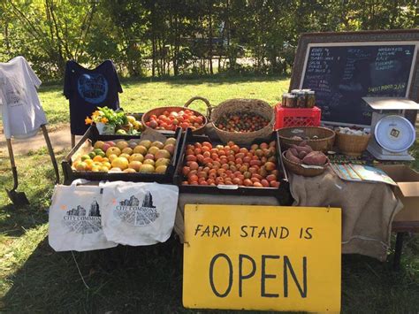 Sip And Cider Detroit’s First Black Owned Cider Mill Launches On West Side The Michigan Chronicle