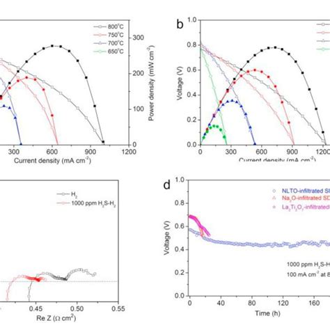 I V And I P Polarization Curves Of The Sofc Single Cell With