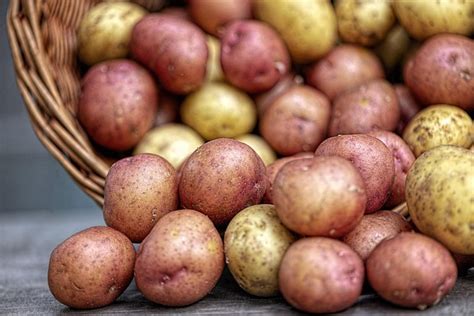 Free Rozmaryn Ziemniaki Potatoes Photos Pixabay