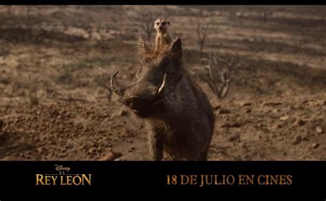 Spot El Rey León Timón Pumba y Nala en español Videos y trailers