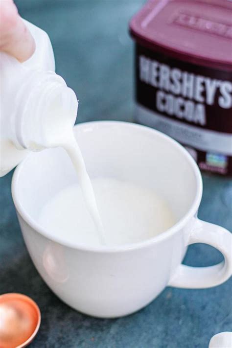 Hot Chocolate Drinks BEST Melted Snowman Hot Chocolate Recipe Easy And Simple Holiday Drink Idea