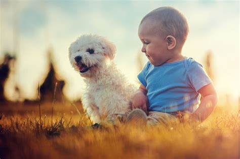 The Importance Of The Human Animal Bond How Pets Can Benefit Our