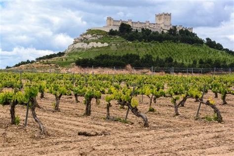 Винный регион Испании Д.О. Рибера дель Дуэро D.O. Ribera del Duero ...
