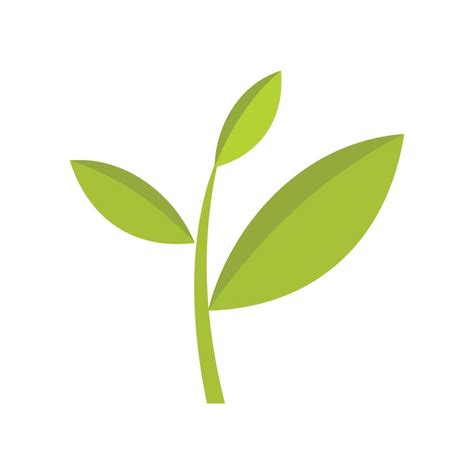 Tea Plant Icon Flat Style 15228175 Vector Art At Vecteezy