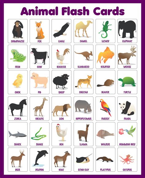 Animal Flash Cards - 10 Free PDF Printables | Printablee