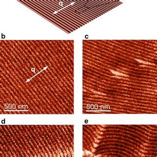 Mfm Imaging Of Helimagnetic Order Dislocations And Domain Walls A