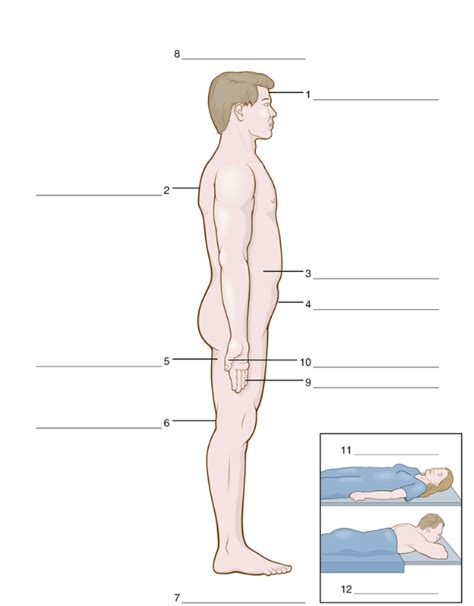 Medical Terminology Ch 2 Part 4 Diagram Quizlet