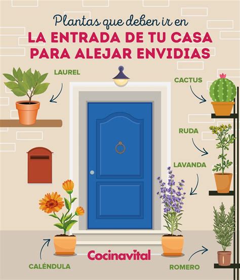 5 Plantas Que Debes Colocar En La Entrada De Tu Casa Para Alejar Envidi