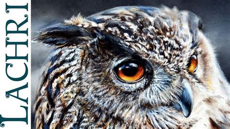 Acrylic Paintings Of Owls - Best Painting Collection